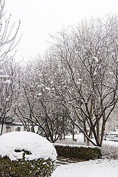 河北省石家庄正定县,云居湖公园雪景