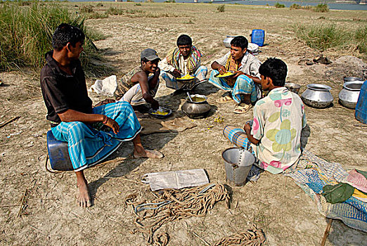 午餐,堤岸,河,牛,河岸,放牧,孟加拉,四月,2008年