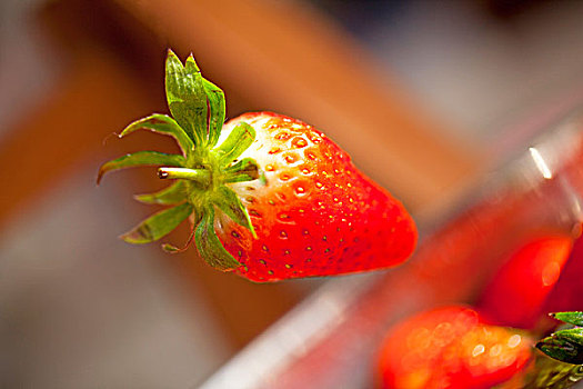 一个新鲜红色的草莓悬在半空中的特写