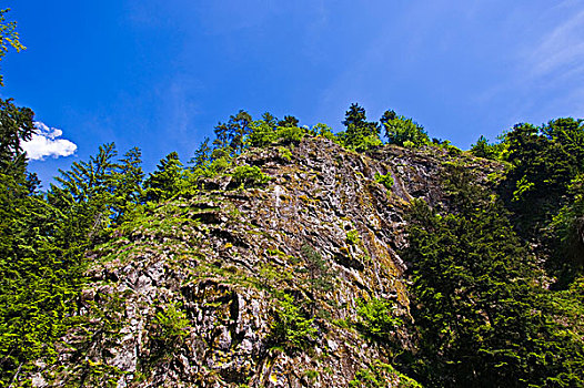 悬崖,瀑布,黑森林,巴登符腾堡,德国,欧洲