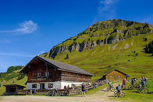 山地自行车,仰视,提洛尔,奥地利,欧洲