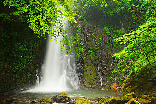 瀑布,熊本,日本
