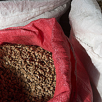 咖啡豆,袋,庄园,洪都拉斯