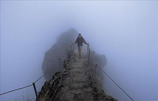 桥,雾,云,远足者,女人,马德拉岛,葡萄牙,欧洲
