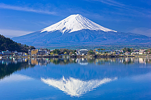 山,富士山,樱桃树,湖