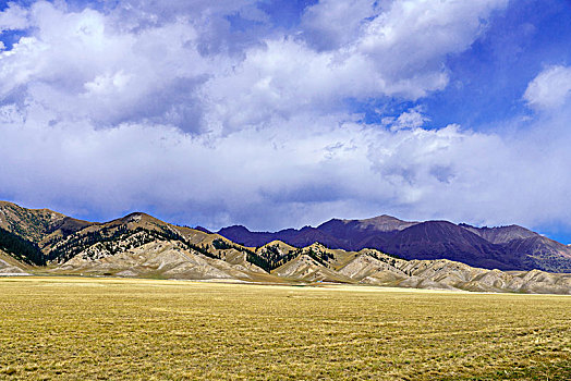 赛里木湖景区风光