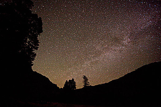 星空,夜晚,仰视