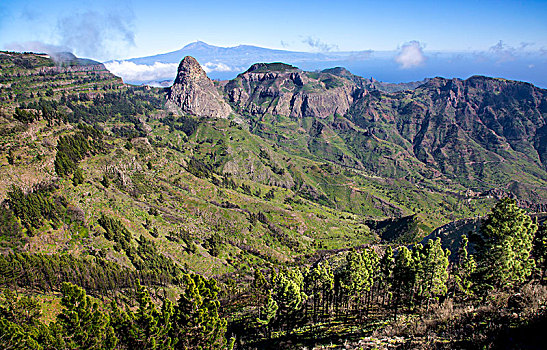 背影,火山,特内里费岛,加拉霍艾国家公园,加纳利群岛,西班牙,欧洲