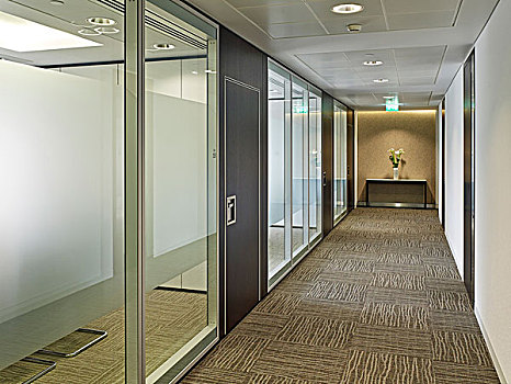 走廊,磨砂玻璃,办公室,德文郡,伦敦,英格兰,英国