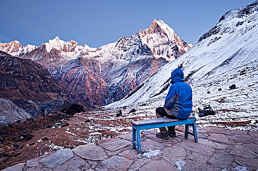 尼泊尔,安纳普尔纳峰,露营,长途旅行者,坐,长椅,看,神圣,山