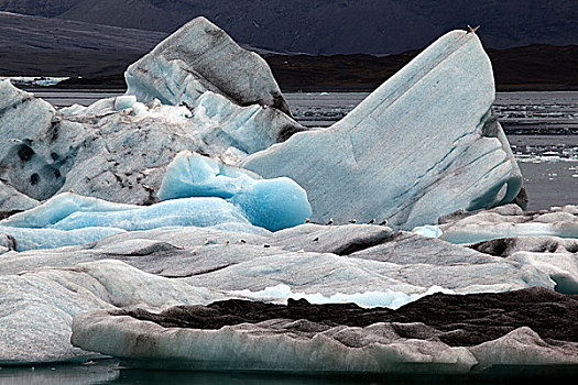 冰,冰山,痕迹,火山灰,冰河,结冰,湖,瓦特纳冰川,杰古沙龙湖,冰岛,欧洲