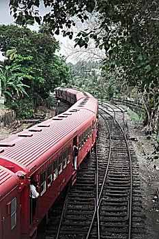 列车,斯里兰卡