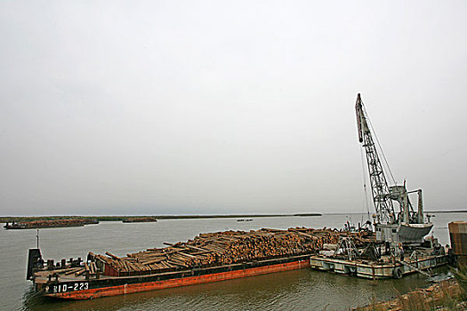 装满木材的船停泊在码头