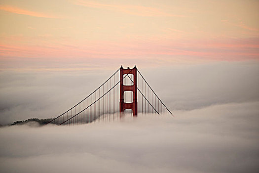 金门大桥,围绕,雾,日落,旧金山,加利福尼亚,美国