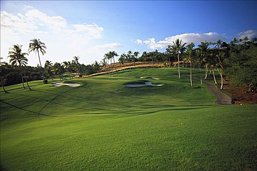 夏威夷,夏威夷大岛,绿色,莫纳克亚山海滩酒店,高尔夫球场