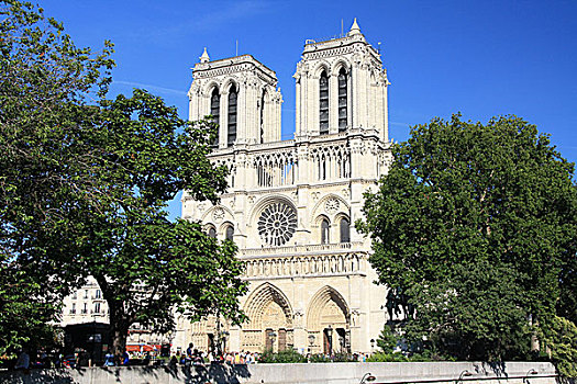 大教堂,巴黎圣母院,巴黎