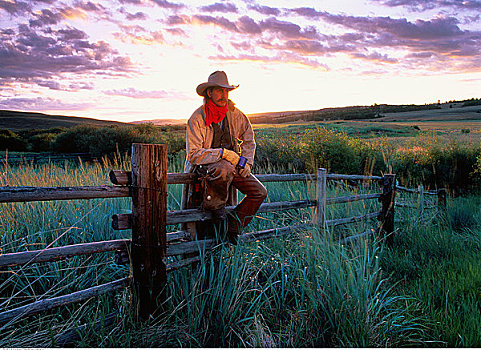 牛仔,坐,栅栏,道格拉斯湖牧场,不列颠哥伦比亚省,加拿大