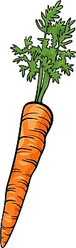 胡萝卜,根菜类,卡通,插画