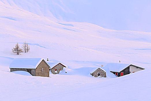 小屋,淹没,重,下雪,日落,瓦莱州,沃利斯,瑞士