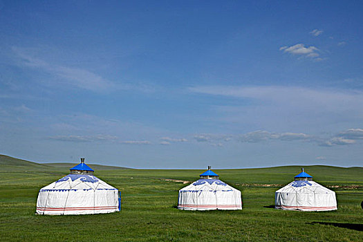内蒙古呼伦贝尔金,中国第一曲水,莫尔格勒河畔帐汗蒙古部落草原的蒙古包