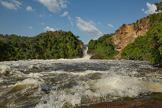 尼罗河,瀑布,国家公园,乌干达