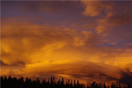 晚间,云,彩色,落基山脉,科罗拉多
