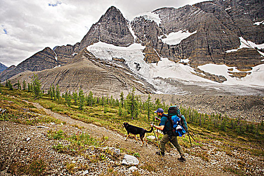 远足者,狗,翻滚,小路,库特尼国家公园,不列颠哥伦比亚省,加拿大