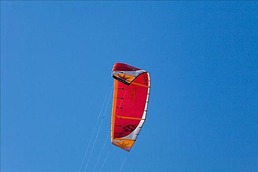 仰视,放风筝,佛罗里达礁岛群,佛罗里达,美国
