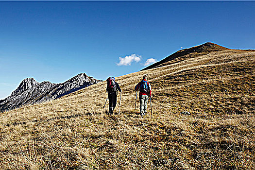 朋友,享受,山,走