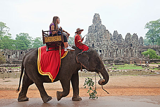 游客,骑,大象,巴扬寺,吴哥窟,吴哥,收获,柬埔寨