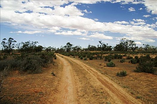 尘土,道路,疏林草原,澳洲南部