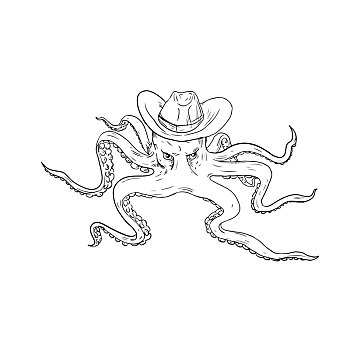 章鱼,戴着,牛仔帽,绘画