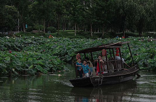 湘湖荷