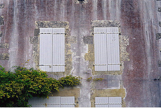 窗户,特写,百叶窗,雷岛,法国