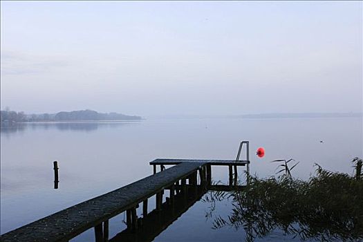 码头,湖,靠近,梅克伦堡前波莫瑞州,德国