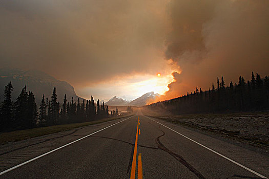 森林火灾,燃烧,公路,艾伯塔省,加拿大