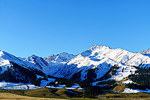 那拉提牧场的草原与雪山