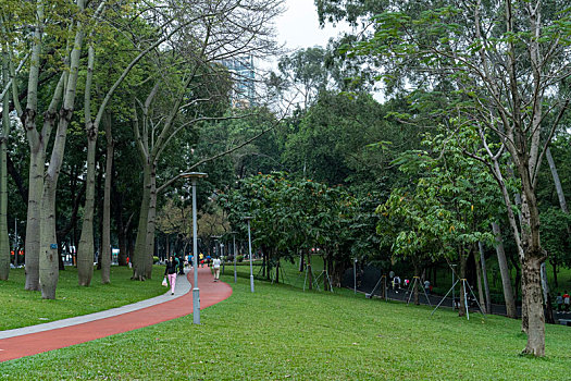 傍晚广州天河公园草地与林荫小道