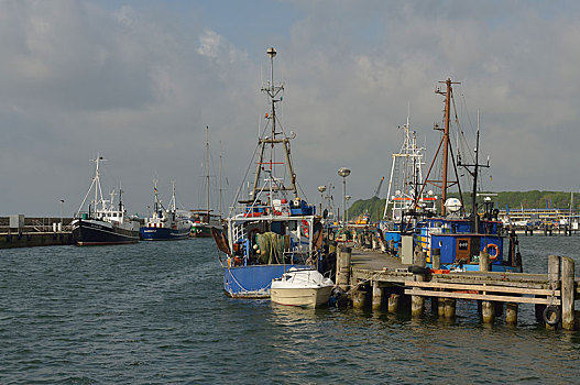 渔船,船,港口,萨斯尼茨,梅克伦堡前波莫瑞州,德国,欧洲