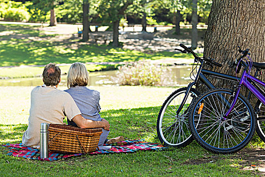 情侣,野餐篮,公园