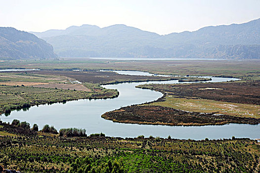 河,自然保护区,海滩,地中海,土耳其,小亚细亚