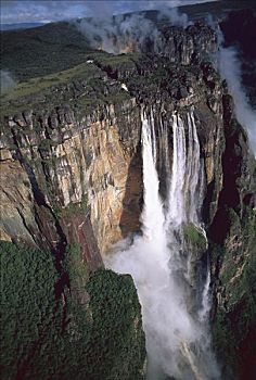 天使,瀑布,河,最高,脚,卡奈伊玛国家公园,委内瑞拉