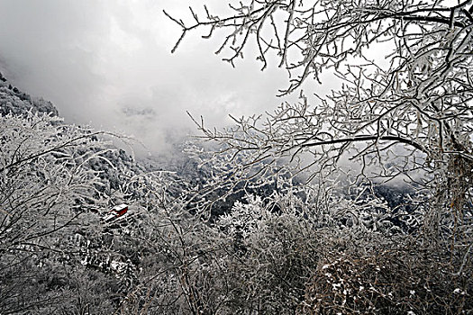 武当山雪景