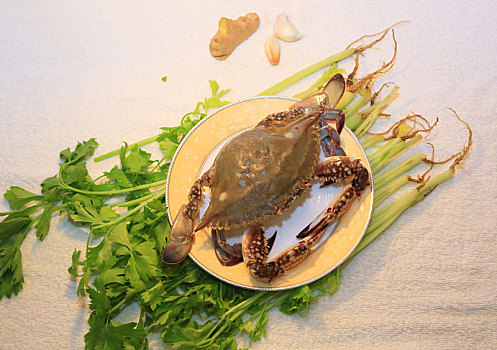 螃蟹,蟹,海鲜,食材,原材料