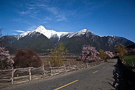 西藏风景