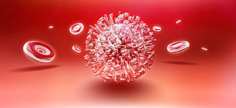 感冒,病毒,颗粒,围绕,漂浮,红血球