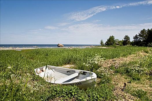 船,芦苇,渔村,国家公园,波罗的海,爱沙尼亚,波罗的海国家,北欧
