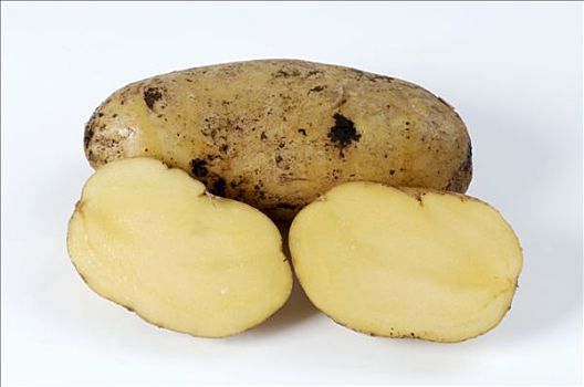 两个,土豆,品种,平分