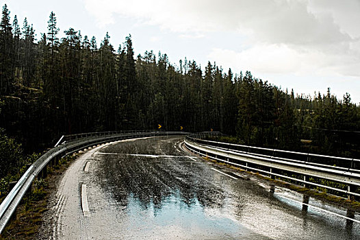 路湿,挪威