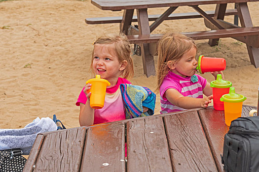 双胞胎,姐妹,享受,午餐,海滩